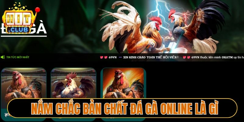 Nắm chắc bản chất đá gà online là gì?